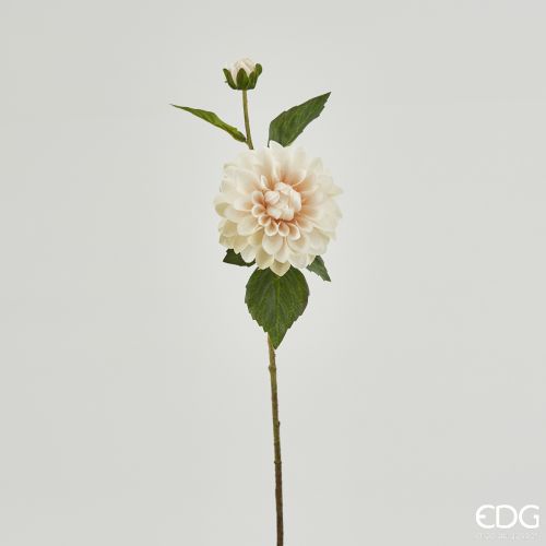 DALIE - immagine 3
