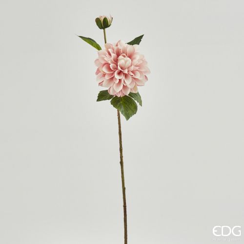 DALIE - immagine 2