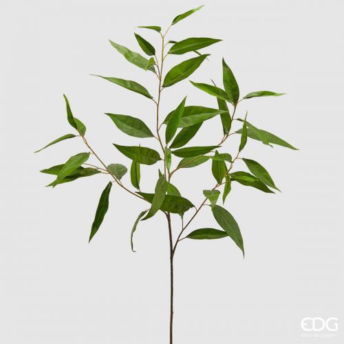 Ramo Eucalipto Edg - 60 cm