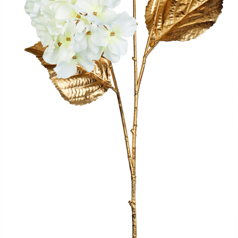 Ortensia bianca/oro