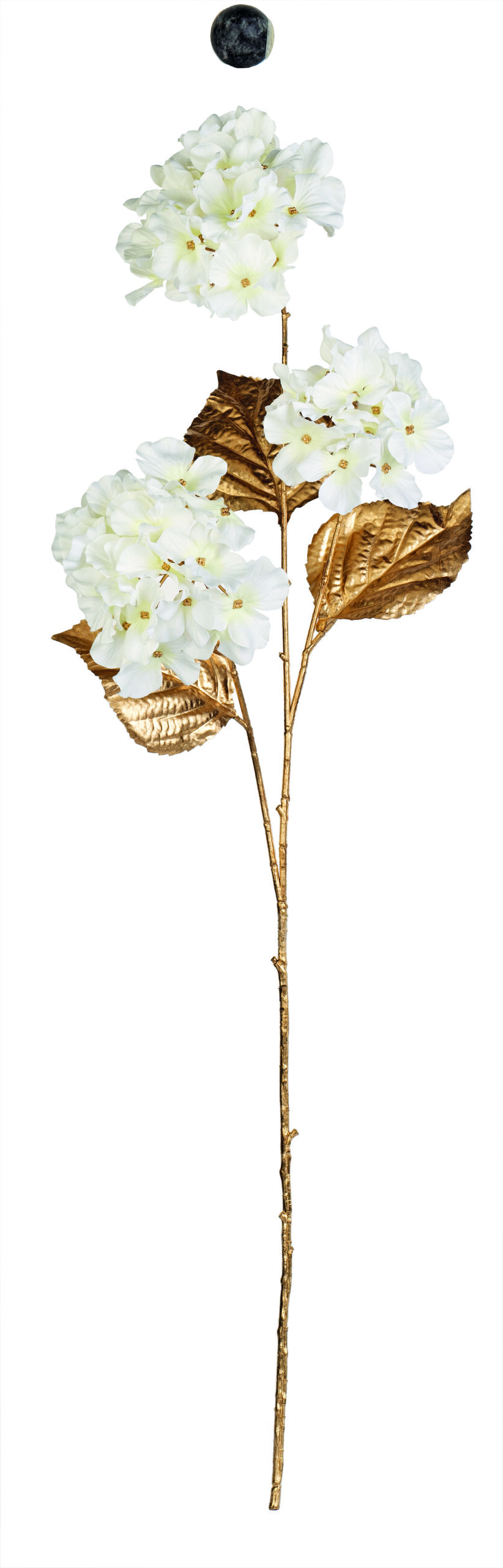Ortensia bianca/oro