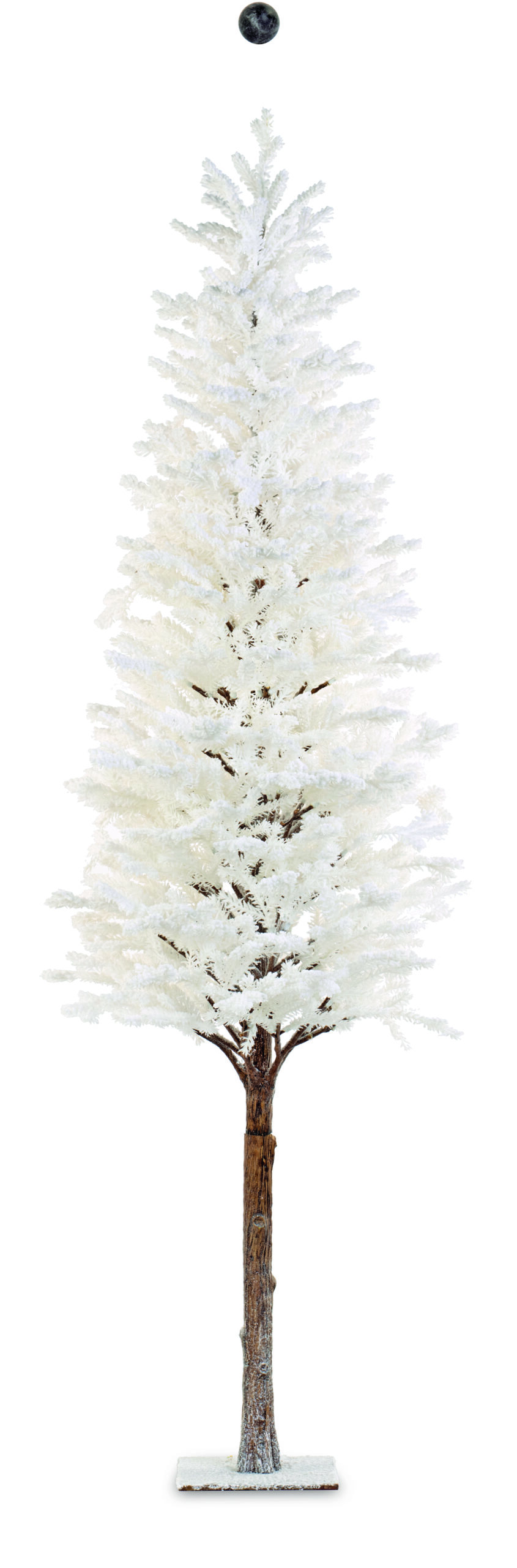 Albero bianco