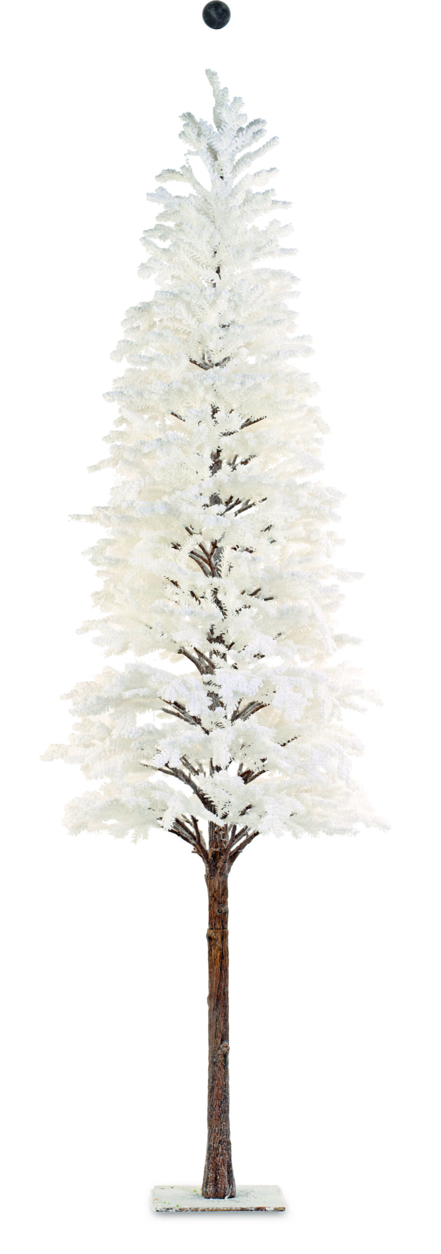 Albero bianco