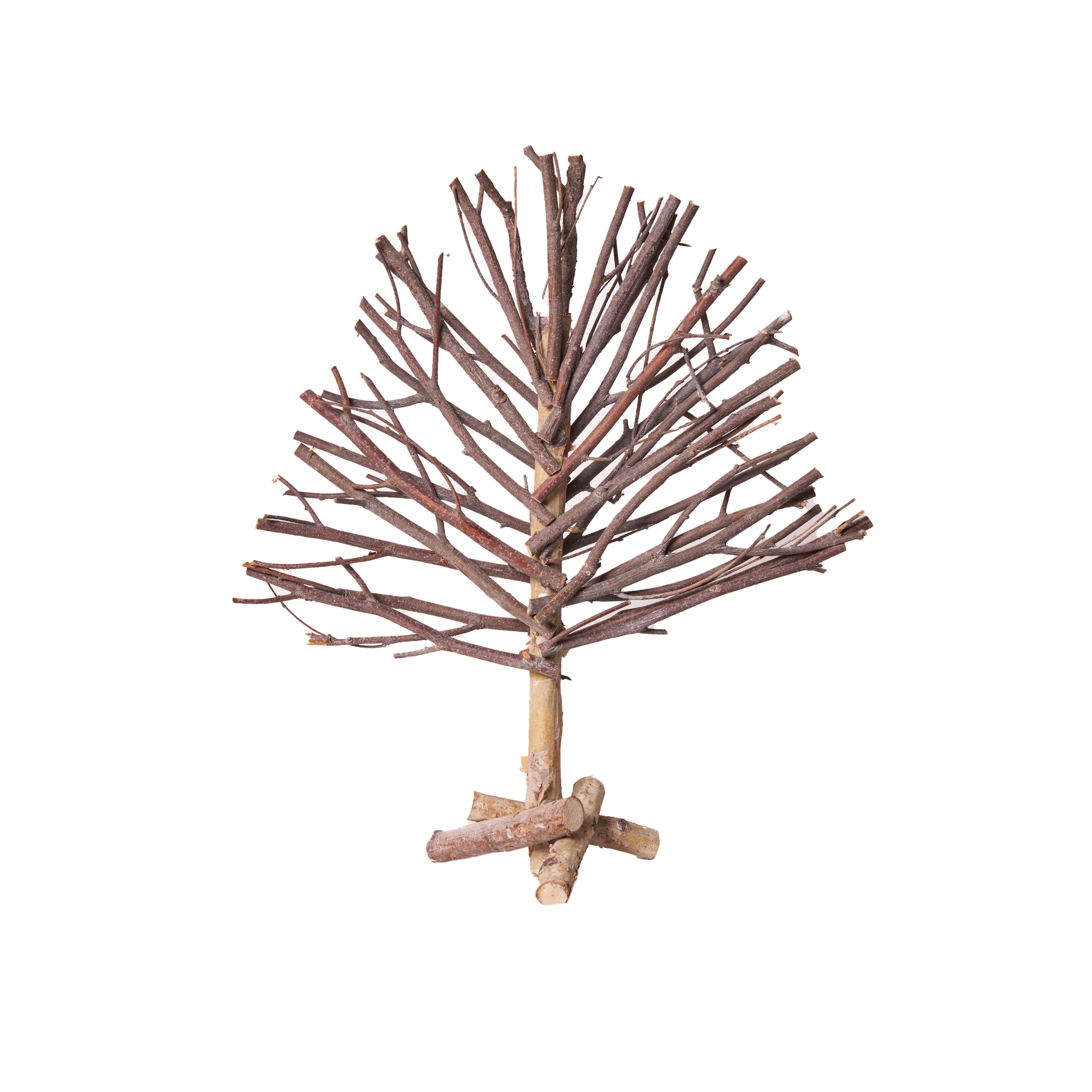 Albero gelso