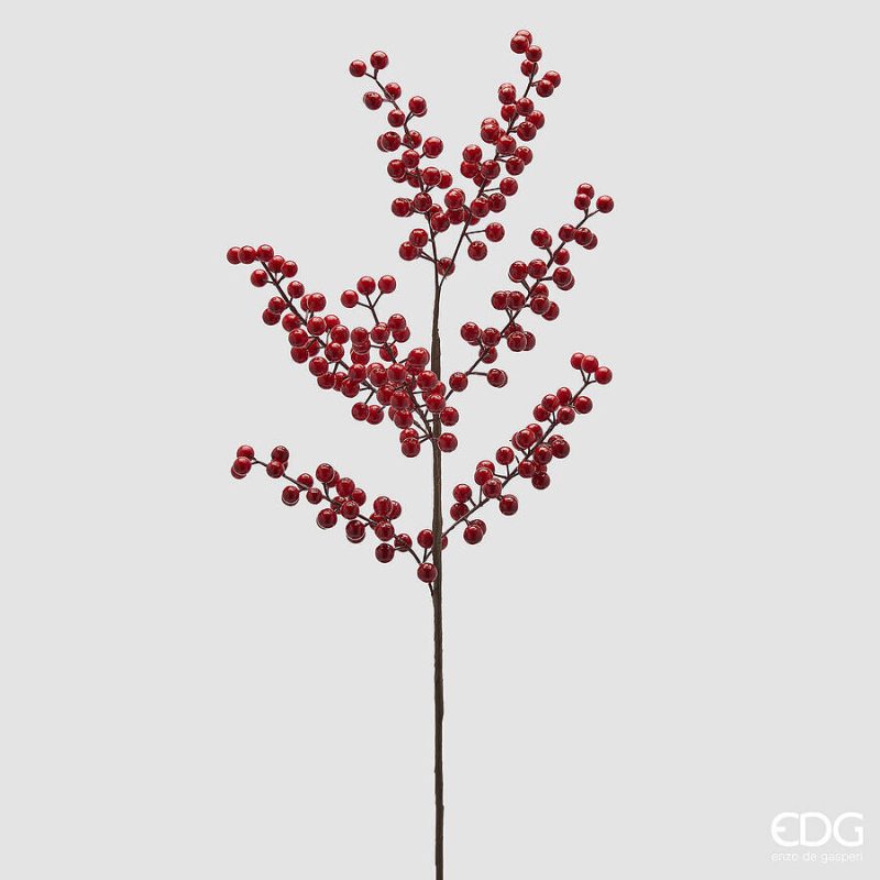 Ilex ramo